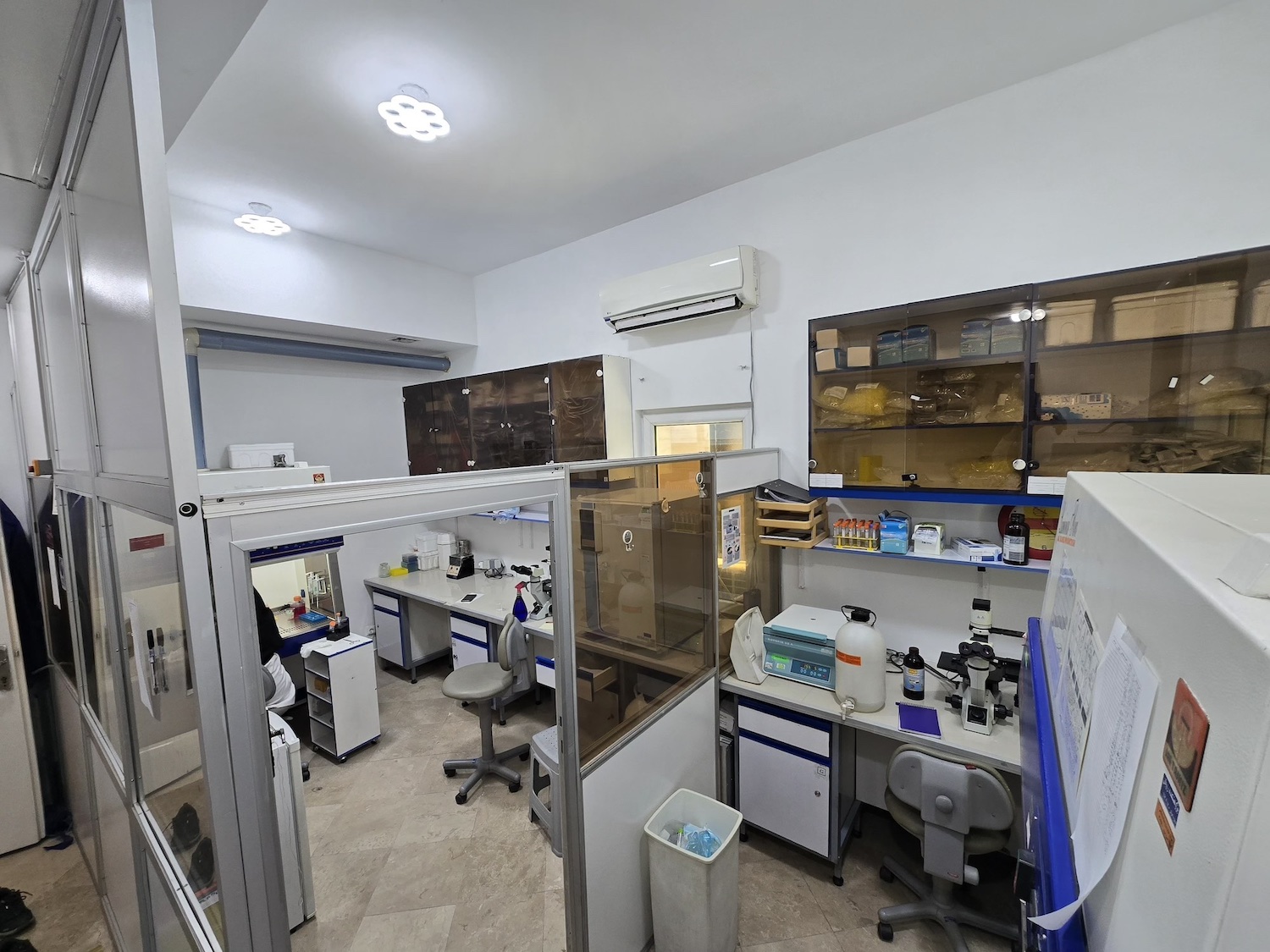Viral Transduction Lab